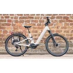Advanced TREKKING Pro FS Wave Gris 25km/h