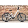 Advanced TREKKING Pro FS Wave Gris 25km/h