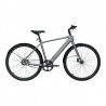 Tenways CGO600 PRO 25Km/h grey, taille XL
