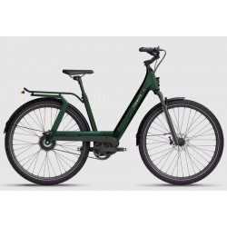 TENWAYS AGO T, 25Km/h, Green Jungle, taille de 165 - 190cm