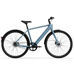 Tenways CGO600 PRO 25Km/h grey, taille L
