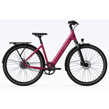 Tenways CGO800S 25Km/h Berry, one size ( de 165cm à 190 cm )