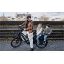 tenways e-bike